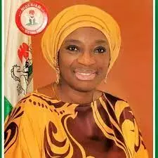 PDP appoints Ekwunife as Campaign D-G
