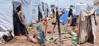 Recent fighting displaces over 1,500 families in Yemen