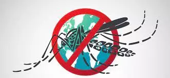 Take preventive measures to fight malaria — Expert