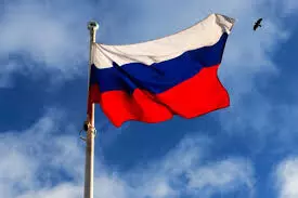 Russian Govt has access to COVID-19 database – Kremlin