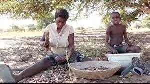 Millions in southern Angola on brink of starvation