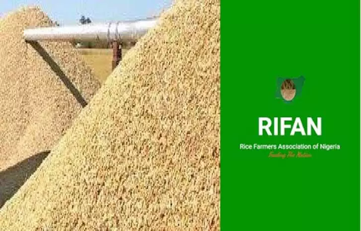 RIFAN says Lagos Rice Mill Launch Will Boost Productivity