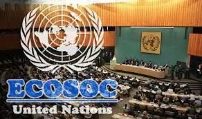 Developing countries need $4.3trn to realise SDGs –ECOSOC