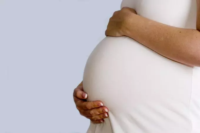 Zoonotic diseases abort pregnancies in women – Expert