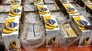 3 tons of cocaine found in banana puree shipment
