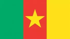 1 dies, 26 injure as building collapse in Cameroon’s commercial capital