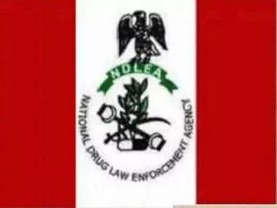 NDLEA seizes 1,500kgs illicit drugs in Zamfara