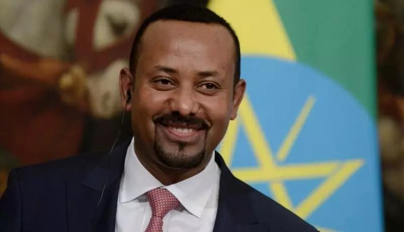 Ethiopian PM promises to finish military operation in restive northern region