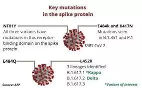 Delta Variant Primary Cause Behind 2nd Wave of COVID-19 – Indian Govt. Study
