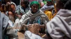 400,000 people suffering famine in Tigray region – UN 400,000 people suffering famine in Tigray region – UN