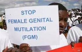 FGM: Violation of Women’s Dignity —- Stakeholders FGM: Violation of Women’s Dignity —- Stakeholders