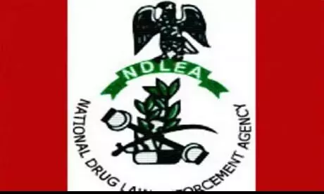 NDLEA solicits Abia govt’s support for fight against drug abuse in schools