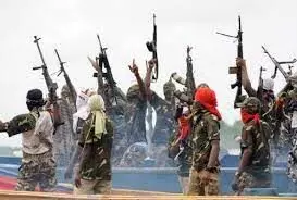 Presidency replies Niger Delta Avengers, says threats unnecessary