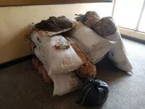 NDLEA seizes 646kg hard drugs, arrests 60 suspects