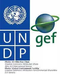 UNDP-GEF roll out mid year scorecards for 7 states