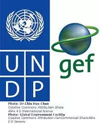 UNDP-GEF roll out mid year scorecards for 7 states UNDP-GEF roll out mid year scorecards for 7 states