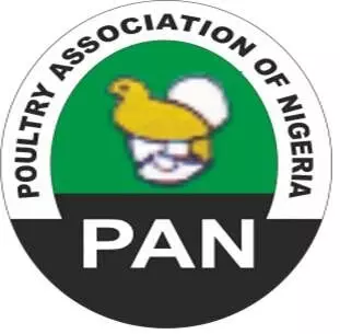 Poultry association to seek CBN’s intervention on maize procurement