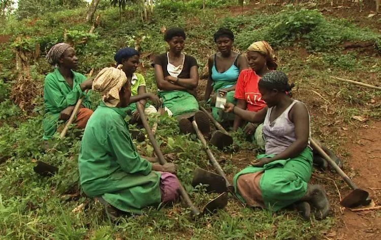 Stakeholders advise govt to involve women in agriculture budget