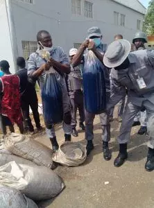 Customs Seizes 45,000 Litres of Adulterated Diesel Worth N21m
