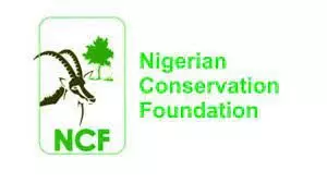 Nigeria Loses up to 400,000 Hectares of Forest Yearly – NCF DG